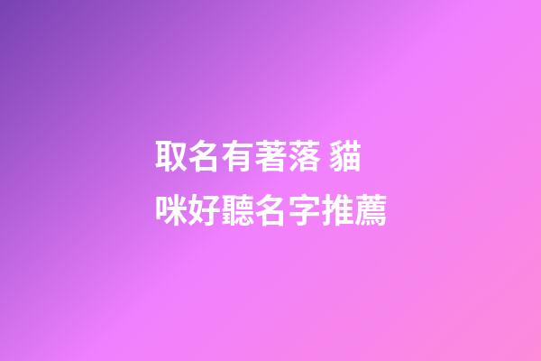 取名有著落 貓咪好聽名字推薦